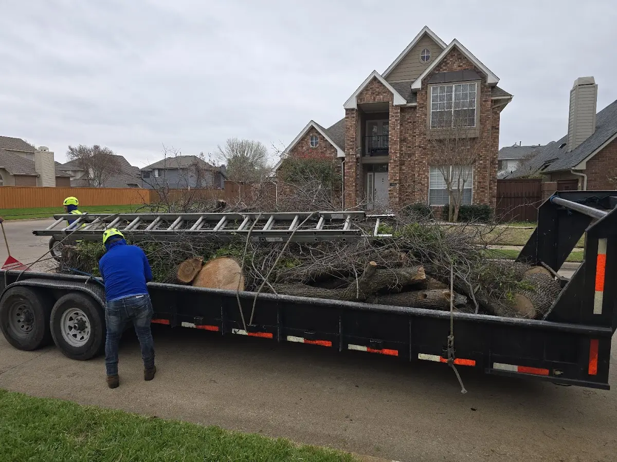 Expert Tree Removal with proper safety equipment in Hammond